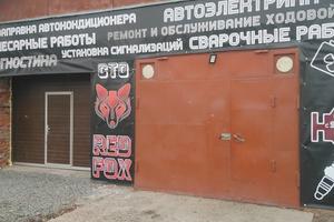 RED FOX 1